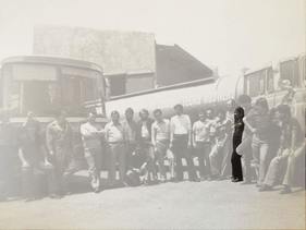 seule femme crop jaune 2.jpg